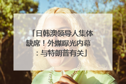 日韩澳领导人集体缺席！外媒曝光内幕：与特朗普有关